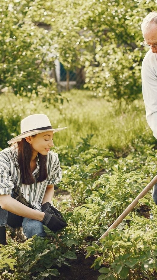 Retreat to Wright’s Farm In Grovetown